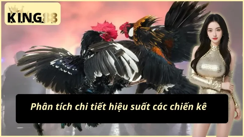 Hệ thống phân tích chi tiết của đá gà cựa sắt KING88