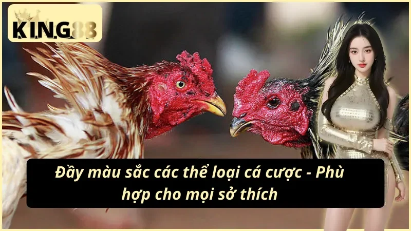 Đáp ứng nhu cầu mọi cược thủ nhà đá gà cựa sắt KING88