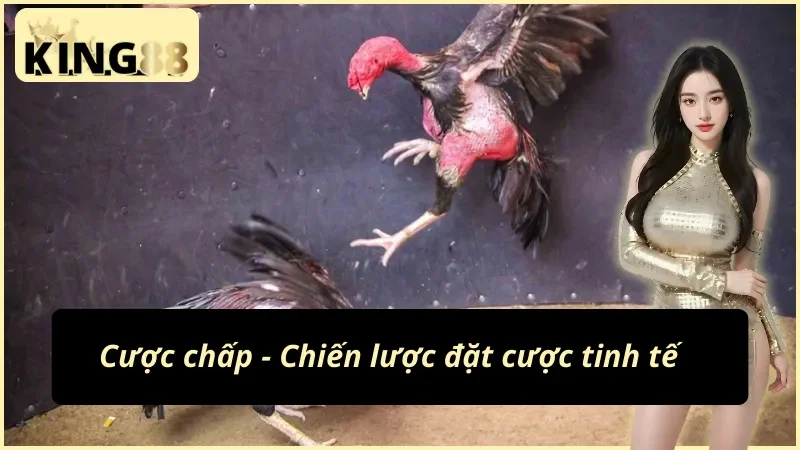 Chiến lược đặt cược đá gà Philippines KING88 tinh tế