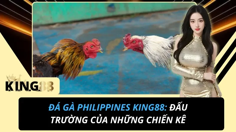 Đá Gà Philippines: Đấu Trường Chiến Kê Online An Toàn Và Đẳng Cấp KING88 1 Đá Gà Philippines