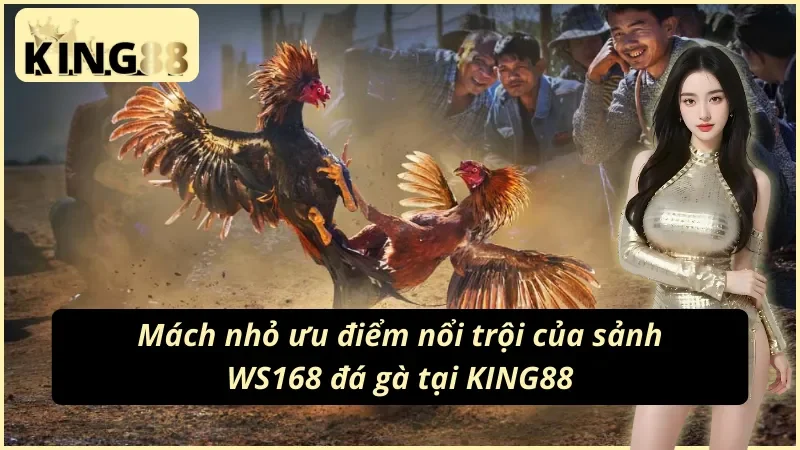 Mách nhỏ ưu điểm của sảnh WS168 đá gà KING88